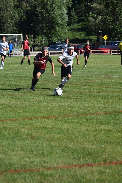 Masia