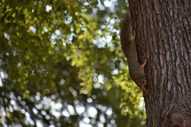 成長的重要 成長的重要