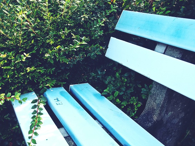 决定因素落 决定因素落