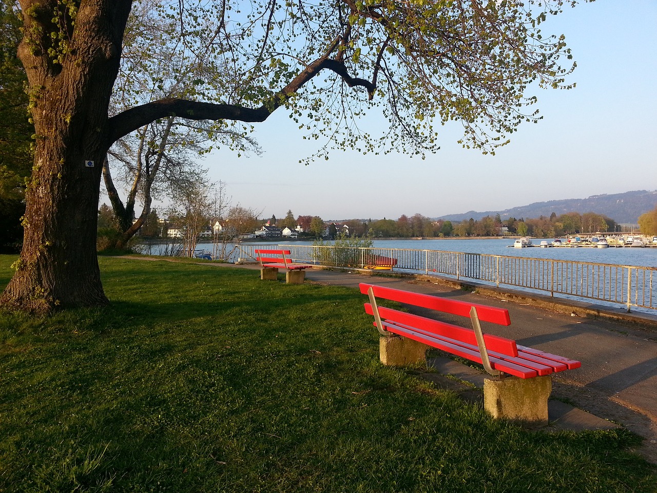 的长期培养 的长期培养